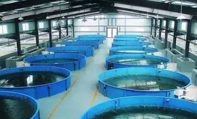 既要養(yǎng)好魚，又要護生態(tài) 一文秒懂《工廠化水產(chǎn)養(yǎng)殖系統(tǒng)》安裝指南