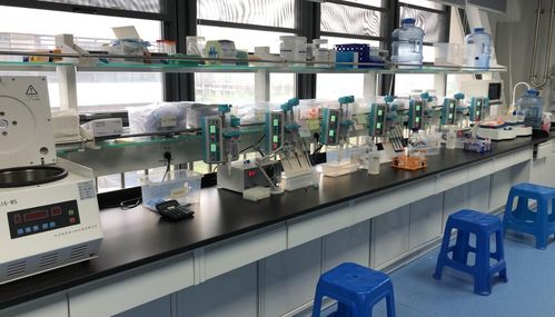 早篩新星天浚元生生物獲國高生物戰投，開啟健康與環?？缃鐒撔?></a></div>
<div   id=