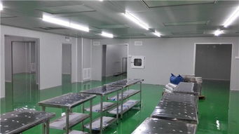 專業(yè)無(wú)塵實(shí)驗(yàn)室建設(shè)專家 無(wú)錫谷能凈化與石家莊無(wú)塵實(shí)驗(yàn)室安裝服務(wù)詳解